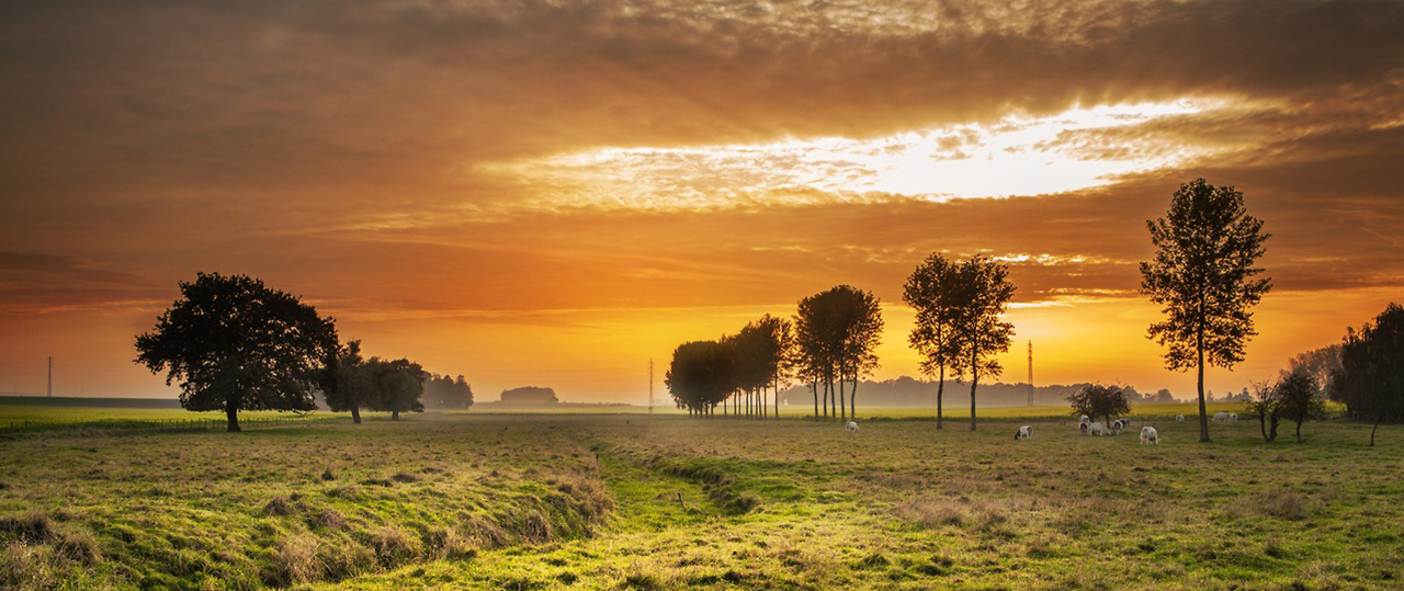 在线轰炸电话软件版