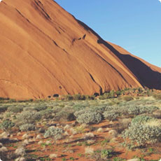 在线轰炸电话软件版