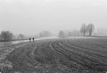 云呼死你轰炸免费网页平台