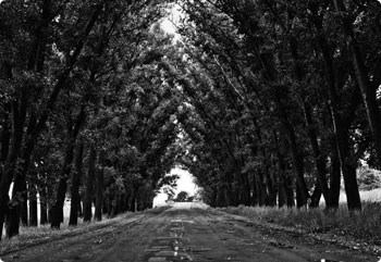 泡泡短信压力测试官网