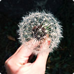 在线轰炸电话软件版